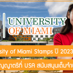 ทุน University of Miami Stamps เรียนต่อปริญญาตรีที่ USA สนับสนุนเต็มจำนวน ปี 2023/24