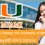 ทุนเต็มจำนวน Stamps จาก University of Miami เรียนต่อปริญญาตรีที่ USA ปี 2023/24